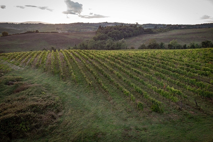 Berselli-toscana-0358
