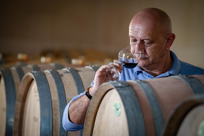 almawines-web-300678-1920x1278 vendange-vin-italien-zerba
