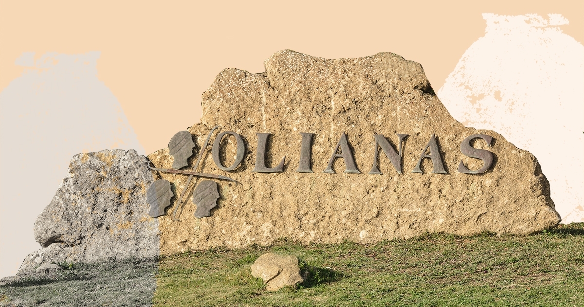298551795_479369547528776_8166439331397724656_n bottiglia-distesa-bouteille-de-vin-blanc-losito